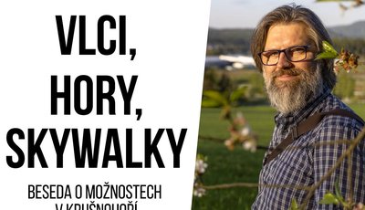 Vlci, haly, skywalky